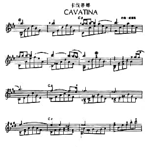 卡伐蒂娜 吉他谱 约斡・威嫌斯