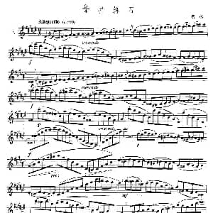 萨克斯谱 | 萨克斯练习曲合集 5—7 9/4拍练习 费林