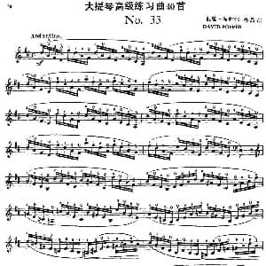 大提琴高级练习曲40首 No.33 戴维 波帕尔