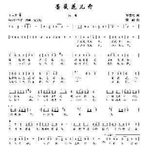 蔷薇花儿开_歌曲简谱_词曲:毕健民 楼勤
