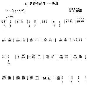 琵琶谱 | 渴望 琵琶三连音练习 新疆民间乐曲 任鸿翔编订