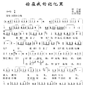 你在我的记忆里_通俗唱法乐谱_词曲:修立 亦弛