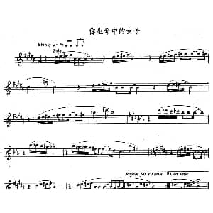 长笛曲谱 | 你生命中的女子