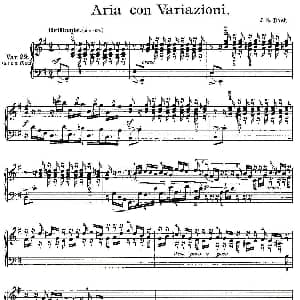Aria con Variazioni 之29 钢琴谱 J.S.Bach