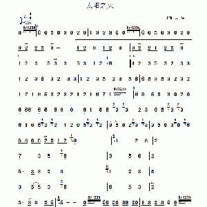 葫芦丝谱 | 太阳之火 张笑