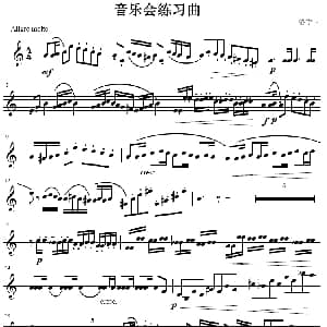音乐会练习曲 小号谱