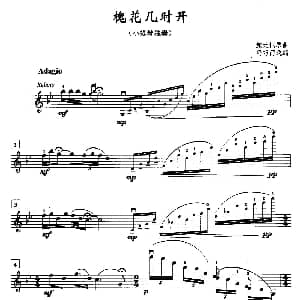 小提琴谱 | 槐花几时开 鲍元恺原曲 冯巧雨改编