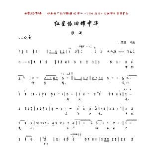 红星依旧耀中华_歌曲简谱_词曲:丁达宾 丁达宾