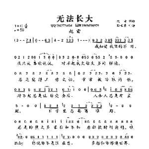无法长大_歌曲简谱_词曲:赵雷 赵雷