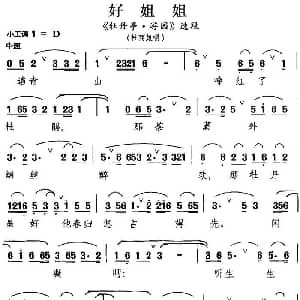 昆曲 好姐姐 牡丹亭 游园 选段 杜丽娘唱段