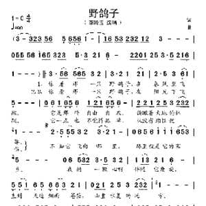 野鸽子_歌谱投稿