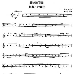 趣味练习曲 扬基 杜德尔
