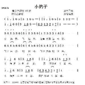 小鸽子_歌曲简谱_词曲:张立国 张延道