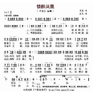 情醉凤凰_歌曲简谱_词曲:万宏 宝文