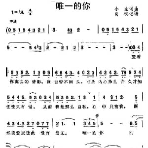 唯一的你_通俗唱法乐谱_词曲:小虫 小虫