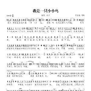 我是一只小小鸟_通俗唱法乐谱_词曲:李宗盛 李宗盛