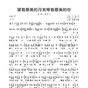 望着最美的月亮等着最美的你_歌曲简谱_词曲:丁晓芒 董艳金