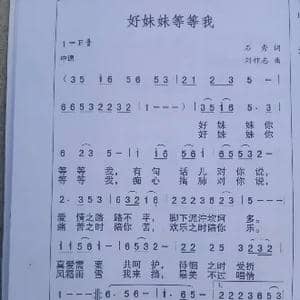 好妹妹等等我_歌曲简谱_词曲:石秀 刘祚志