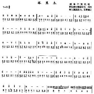 扬琴谱 | 塔里木