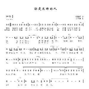 你是怎样的人_歌谱投稿_词曲:黎隆武 田信国
