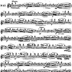 长笛曲谱 | 二十首练习曲作品131号 NO.17 Garibold 加里波第
