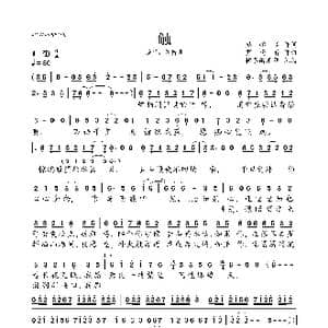 触_歌曲简谱_词曲:熊怡晴 罗晓音