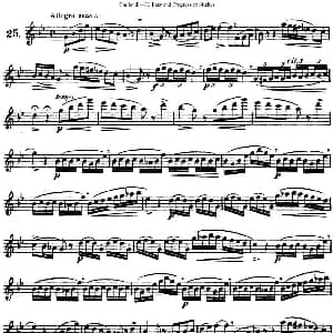 长笛曲谱 | 三十首基础及提高练习曲 NO.25 Garibold 加里波第