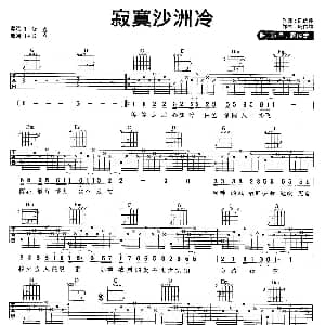 寂寞沙洲冷 吉他谱 周传雄 陈信荣 周传雄