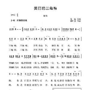 美丽的三角梅_民歌简谱_词曲:孙瑜 赖明友