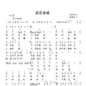 家有老娘_歌曲简谱_词曲:何荣国 向邦瑜