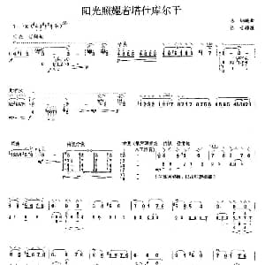 琵琶谱 | 阳光照耀着塔什库尔干 陈钢编曲 陈音移植