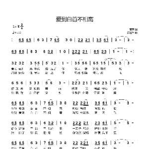 爱到白首不相离_歌曲简谱_词曲:荣荣 黄进军