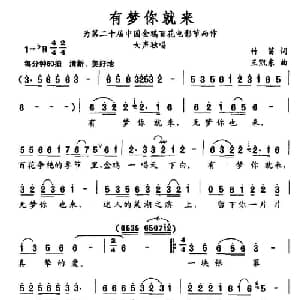 有梦你就来_通俗唱法乐谱_词曲:竹笛 王凯东
