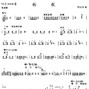 二胡谱 | 蚂蚁 刘光宇