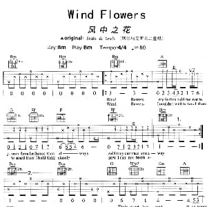 Wind Flowers 吉他谱 齐秦