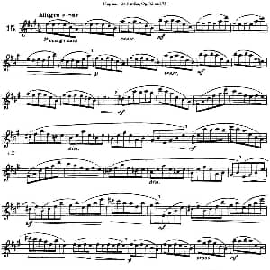 长笛曲谱 | 胡埃斯24首长笛练习曲Op.32 NO.15 胡埃斯