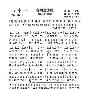 老哥爱小妹_歌曲简谱_词曲:成鹏飞 翟靖伟
