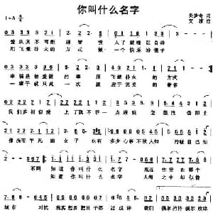 你叫什么名字_通俗唱法乐谱_词曲:吴梦奇 文雅