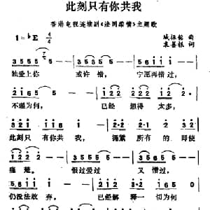 此刻只有你共我_通俗唱法乐谱_词曲:城振铭 袁善根