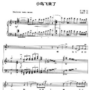 小鸟飞来了_美声唱法乐谱_词曲:任卫新 尚德义