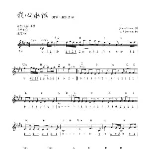 电子琴谱 | 我心永恒