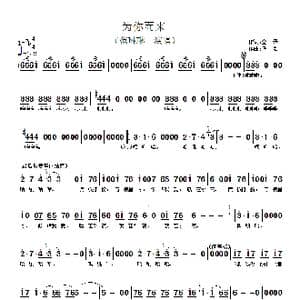 为你而来_歌谱投稿_词曲:金矛 佚名