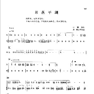 月落平湖 笛 箫 张维良曲 邱霁订筝指法