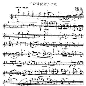 小提琴谱 | 千年铁树开了花