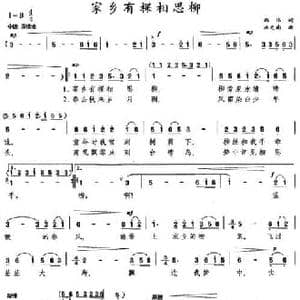 家乡有棵相思柳_民歌简谱_词曲:韩伟 施光南