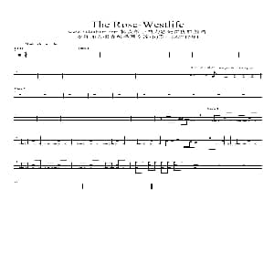 The Rose 架子鼓谱