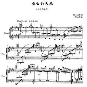 雪白的天鹅_民歌简谱_词曲:阿古拉泰 好必斯