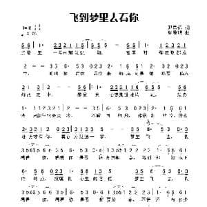 飞到梦里去看你_歌曲简谱_词曲:田宇 杨晓旭