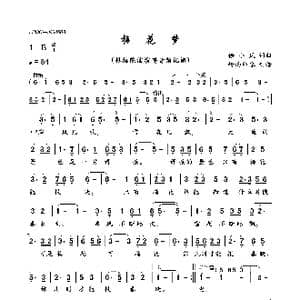 梅花梦_歌曲简谱_词曲:徐小凤 徐小凤