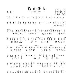你在他乡_歌曲简谱_词曲:刚泽斌 桑田佳佑